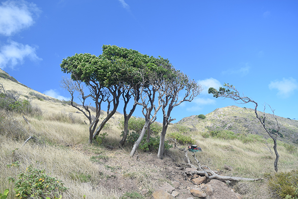 above Margarita Bay